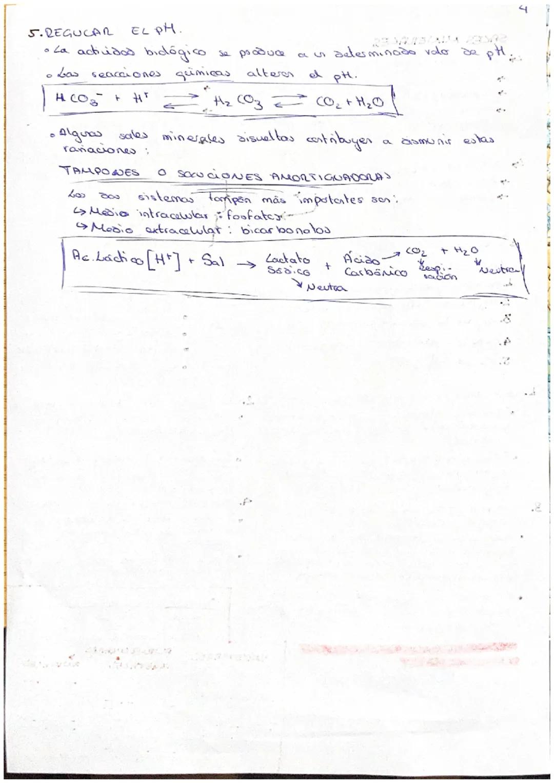 # 2. BACH.
QUIMICA DE CA MATERIA LIVA
BIO ELEMENTOS:
Son los elemento que forman pate
DO conn car
COMPOSICIÓN QUIMICA CORSECA
VERR.
oxi