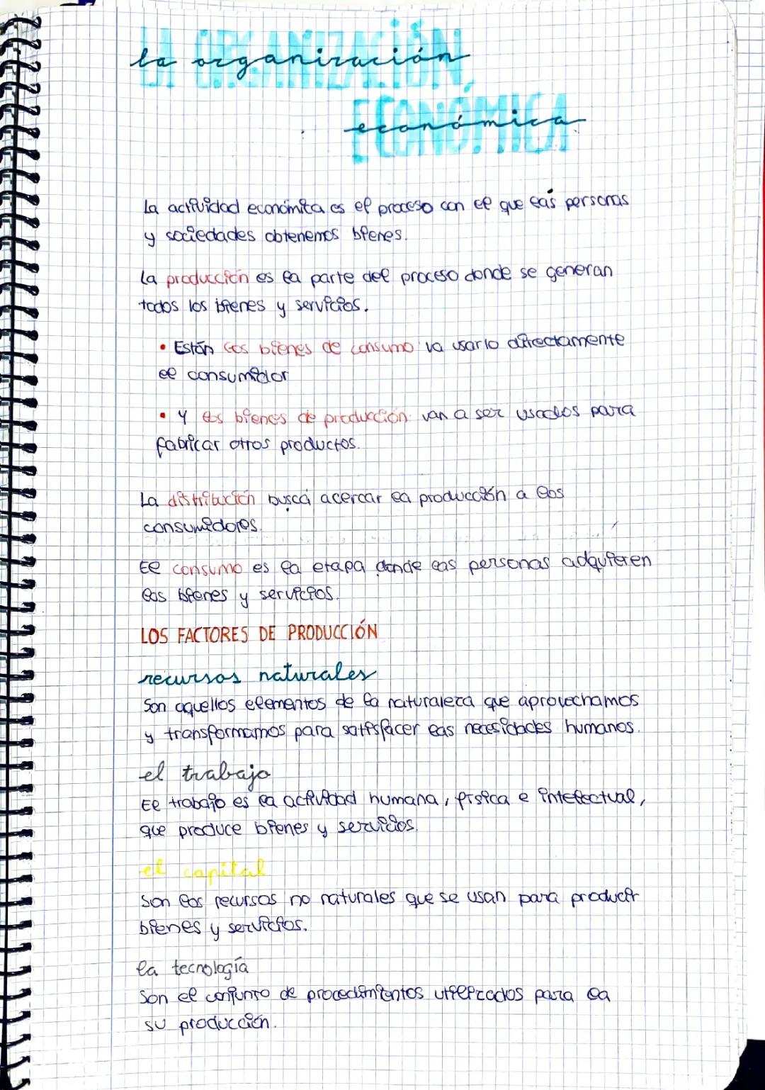 Organización económica