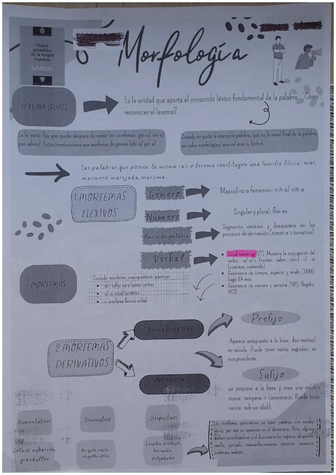 Nueva
gramática
de la lengua
española
MANUAL
LEXEMA (RAÍZ)
MORFEMAS
Es la parte fija que queda después de omitir los morfemas: gat-o/ niñ-a/