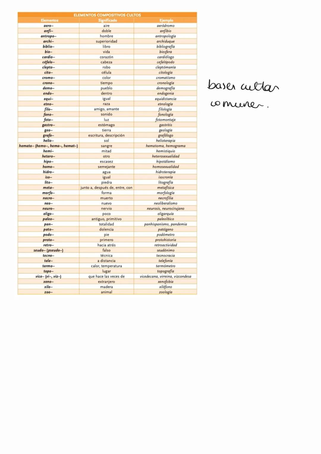 # Morfología BACH
CONSIDERACIONES:
Lo que tienes que hacer en este
ejercicio
Se trata de analizar cómo están
formadas las palabras (morfe