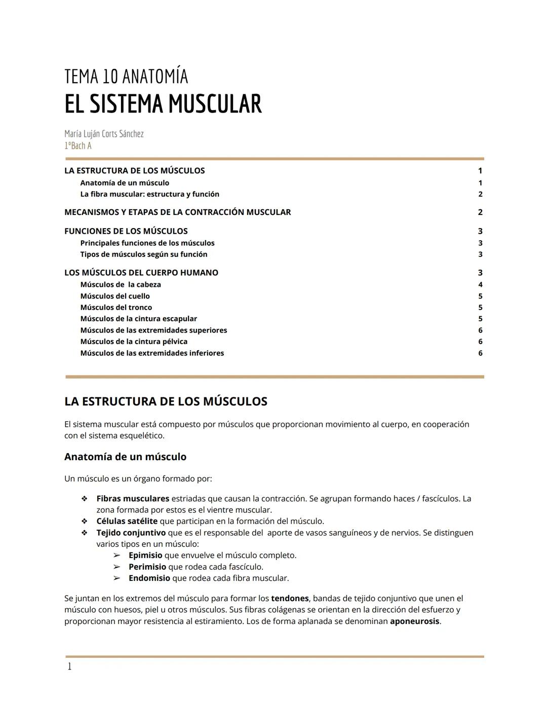 TEMA 10 ANATOMÍA
EL SISTEMA MUSCULAR
María Luján Corts Sánchez
1ºBach A
LA ESTRUCTURA DE LOS MÚSCULOS
Anatomía de un músculo
La fibra muscul