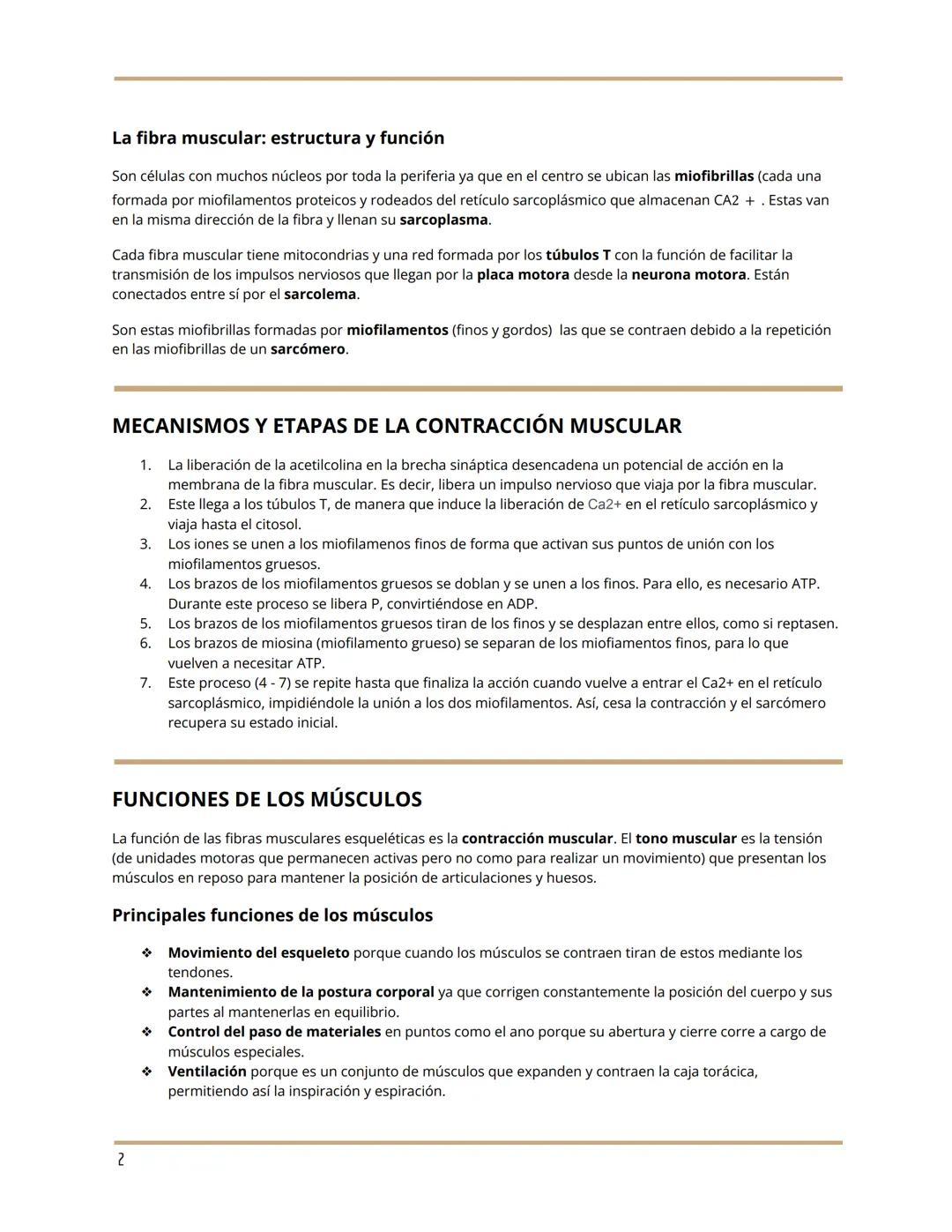 TEMA 10 ANATOMÍA
EL SISTEMA MUSCULAR
María Luján Corts Sánchez
1ºBach A
LA ESTRUCTURA DE LOS MÚSCULOS
Anatomía de un músculo
La fibra muscul
