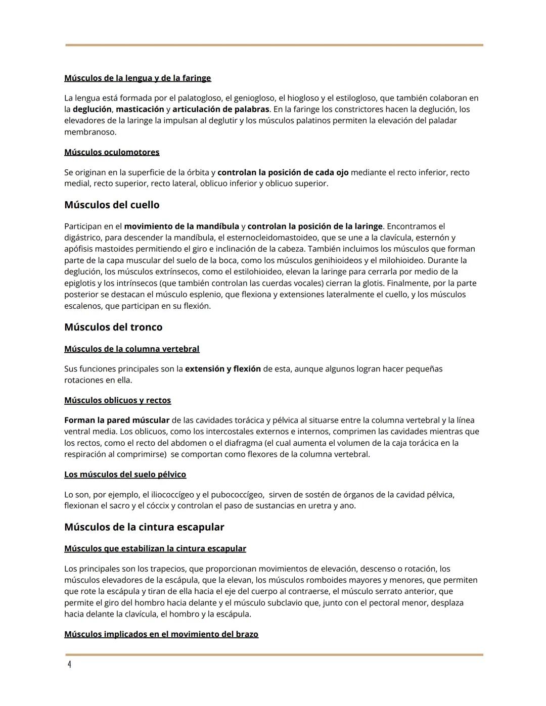 TEMA 10 ANATOMÍA
EL SISTEMA MUSCULAR
María Luján Corts Sánchez
1ºBach A
LA ESTRUCTURA DE LOS MÚSCULOS
Anatomía de un músculo
La fibra muscul