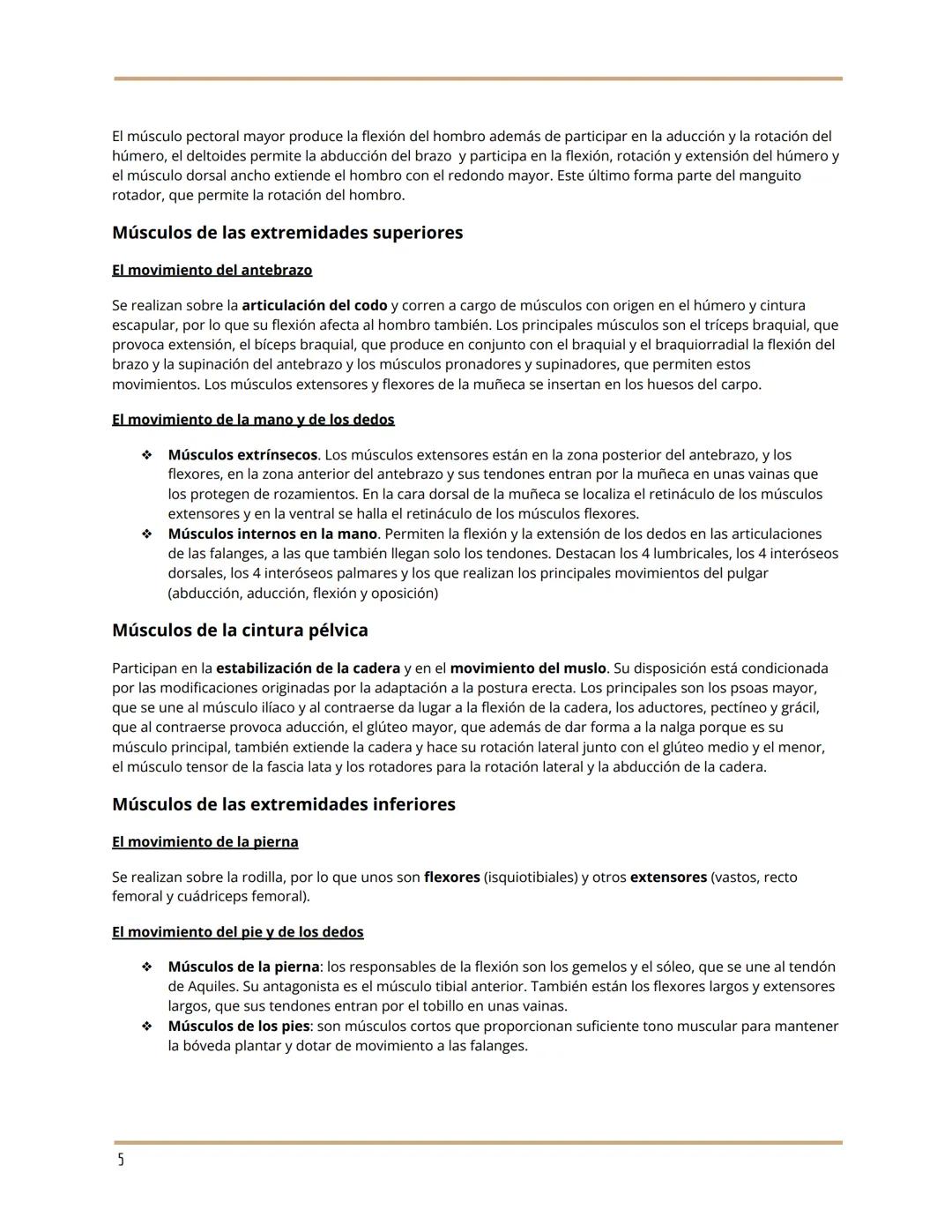 TEMA 10 ANATOMÍA
EL SISTEMA MUSCULAR
María Luján Corts Sánchez
1ºBach A
LA ESTRUCTURA DE LOS MÚSCULOS
Anatomía de un músculo
La fibra muscul