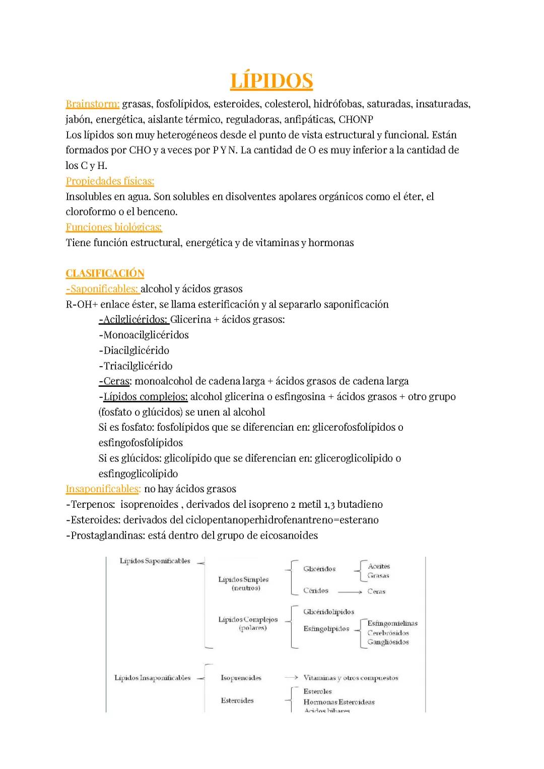 APUNTES DE LOS LÍPIDOS