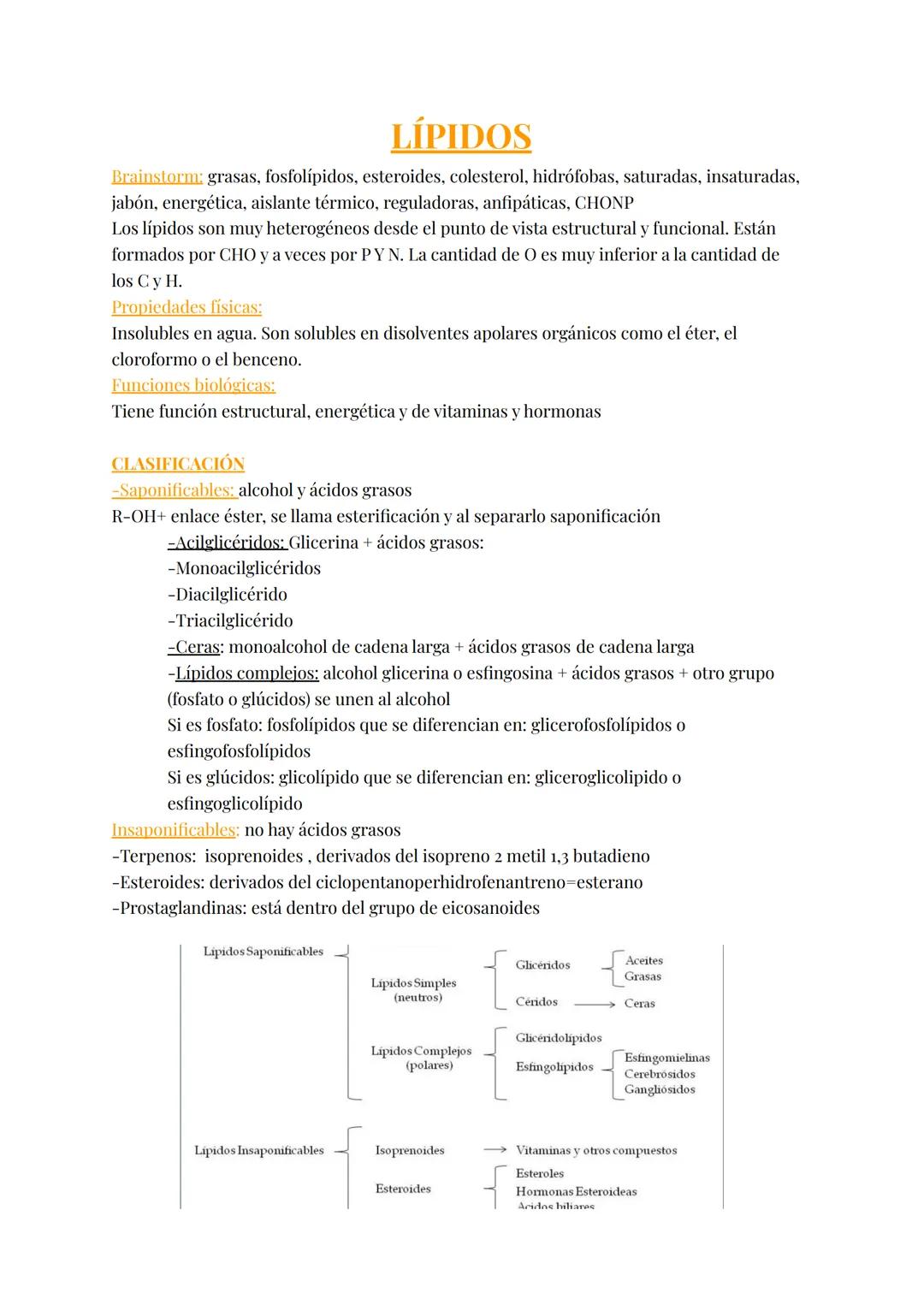 LÍPIDOS
Brainstorm: grasas, fosfolípidos, esteroides, colesterol, hidrófobas, saturadas, insaturadas,
jabón, energética, aislante térmico, r