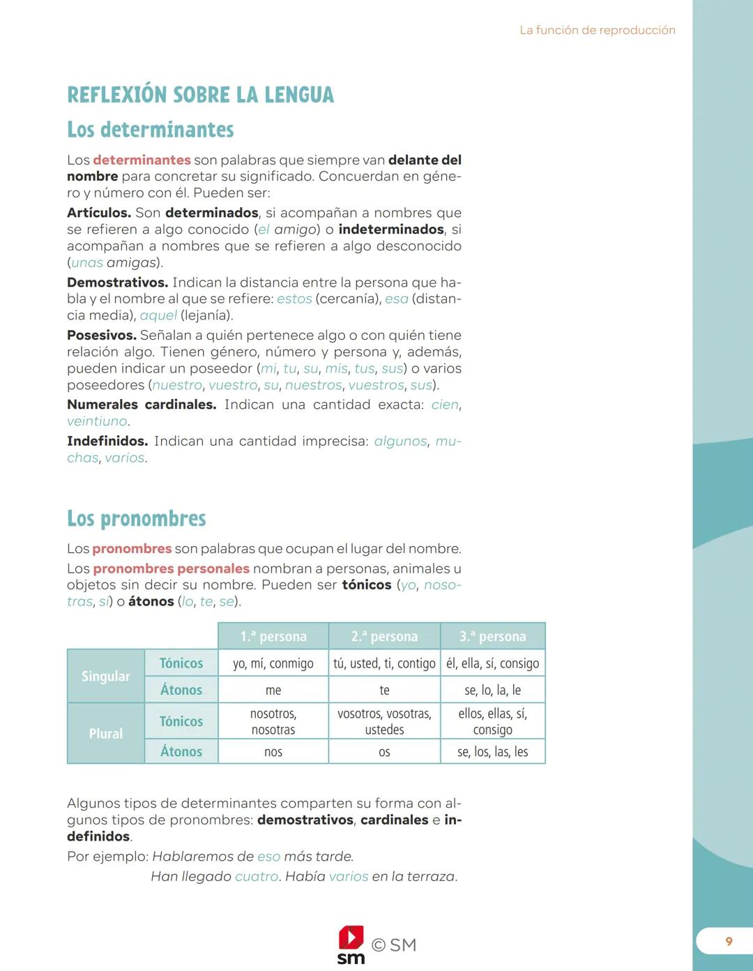 REVUELA
Depósito legal: M-10883-2023
218796
8435685 914113
sm
OSM
REVUELA
6
primaria
Lengua castellana
y Literatura
SABERES
BÁSICOS
sm # ReV