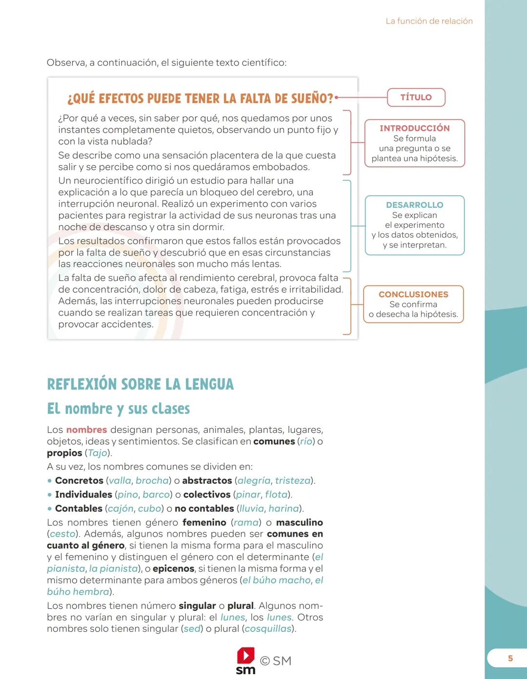 REVUELA
Depósito legal: M-10883-2023
218796
8435685 914113
sm
OSM
REVUELA
6
primaria
Lengua castellana
y Literatura
SABERES
BÁSICOS
sm # ReV