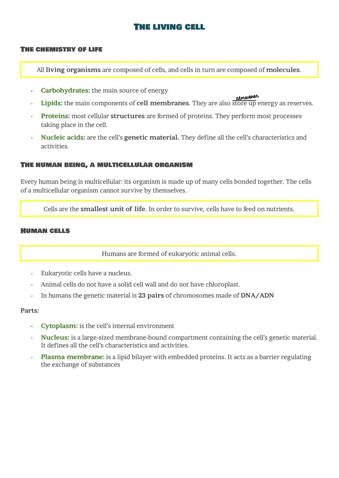 THE CHEMISTRY OF LIFE
All living organisms are composed of cells, and cells in turn are composed of molecules.
THE LIVING CELL
Carbohydrates