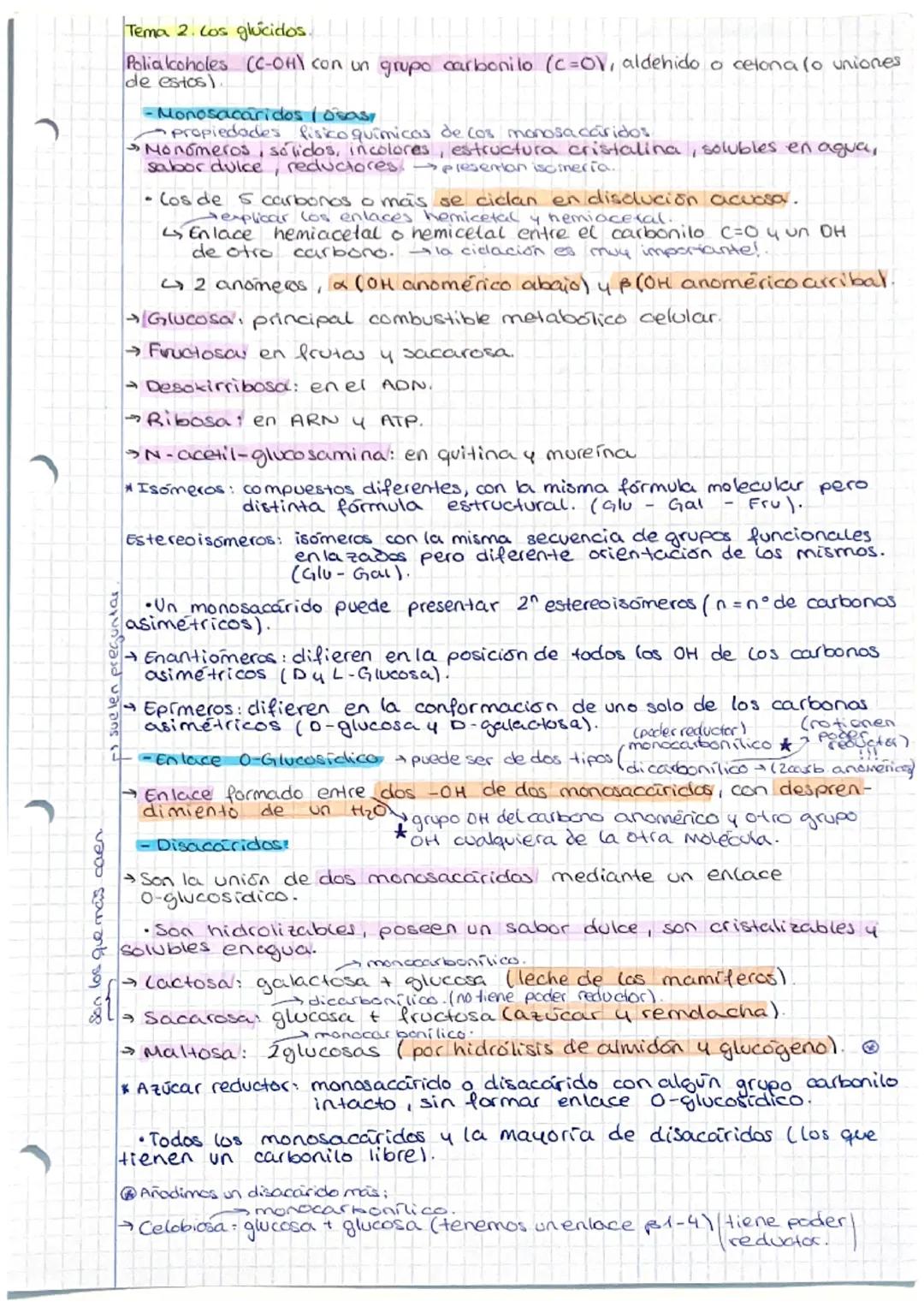 Son los que mas caer
- suelen preguntar
Tema 2. Cos glúcidos.
Poliakoholes (C-OH) con un grupo carbonilo (C=OV, aldehido o cetona (o unione
