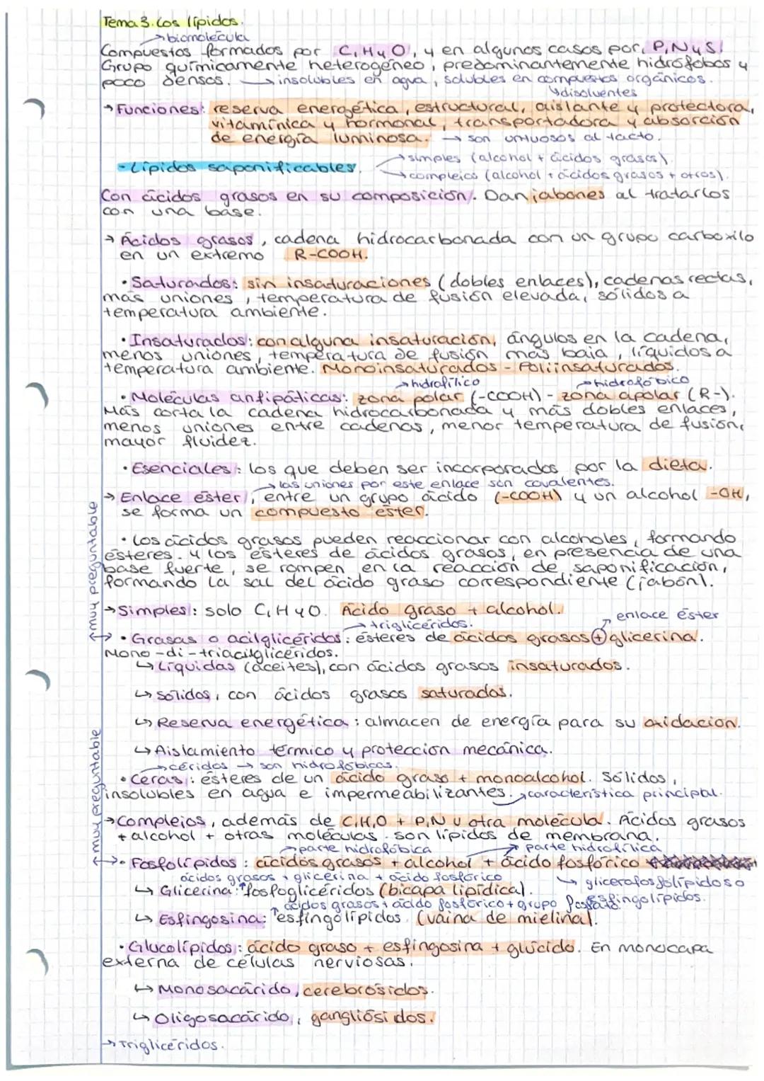 Son los que mas caer
- suelen preguntar
Tema 2. Cos glúcidos.
Poliakoholes (C-OH) con un grupo carbonilo (C=OV, aldehido o cetona (o unione