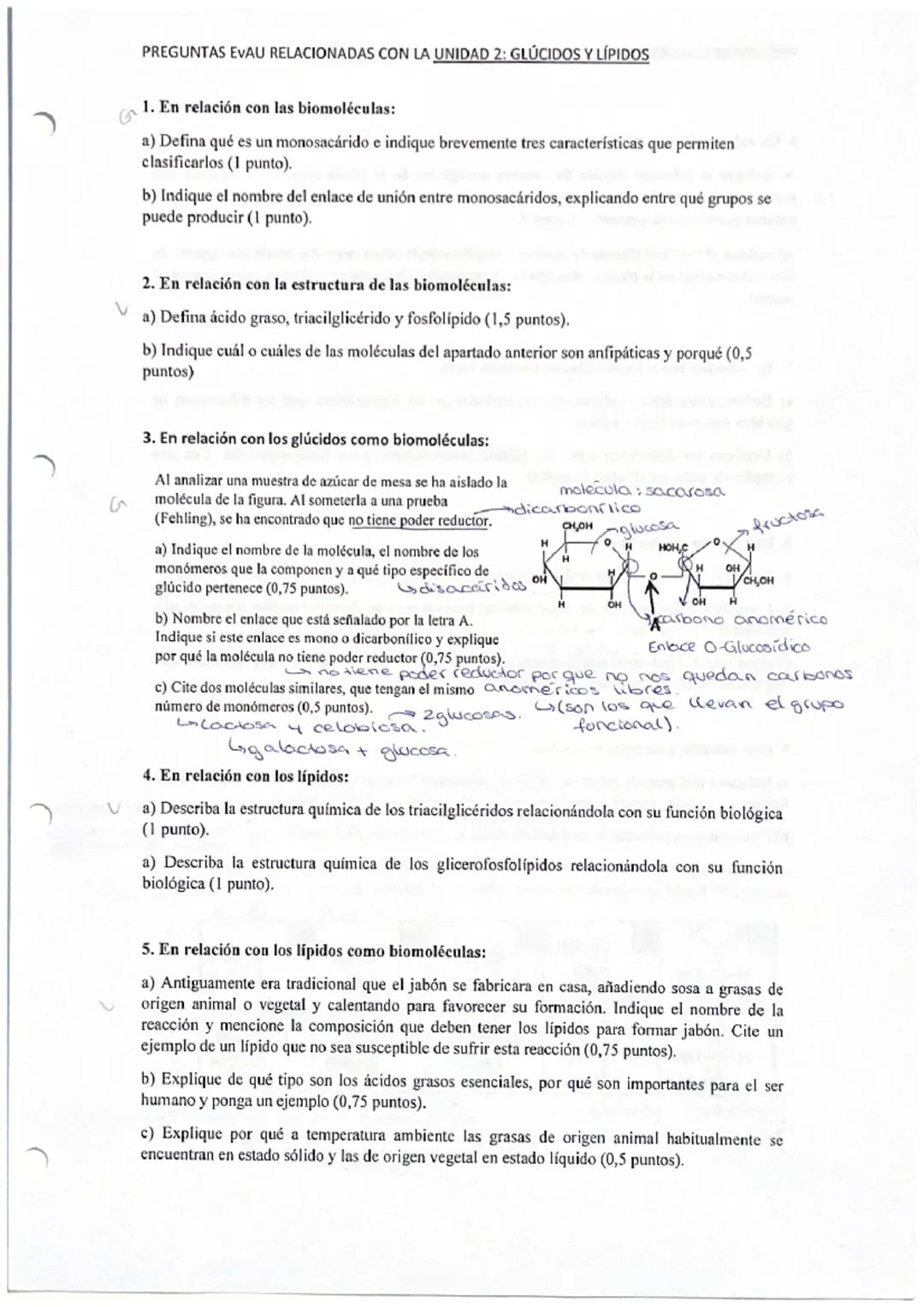 Son los que mas caer
- suelen preguntar
Tema 2. Cos glúcidos.
Poliakoholes (C-OH) con un grupo carbonilo (C=OV, aldehido o cetona (o unione