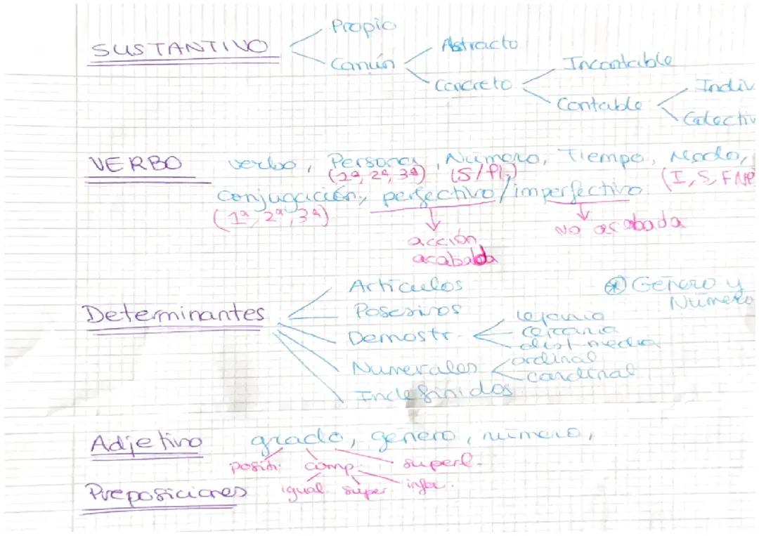 Analisis morfologico