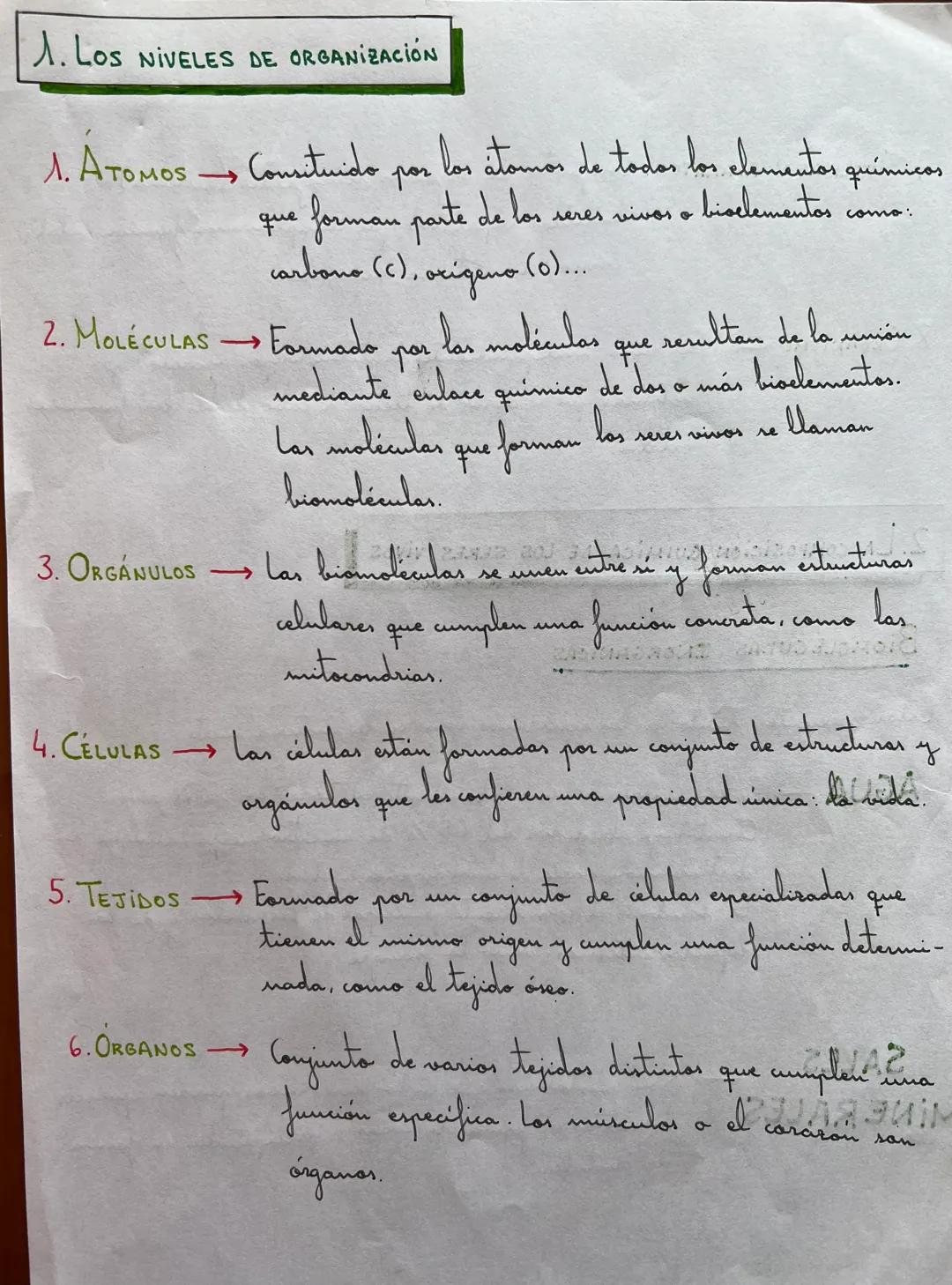 # 1. LOS NIVELES DE ORGANIZACIÓN
1. ÁTOMOS Consituido por los átomos de todos los elementos químicos
←
que forman parte de los seres vivos