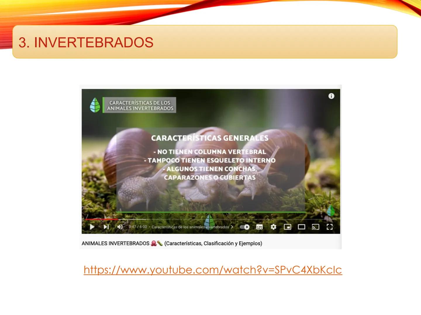 # U.D. 3: EL REINO ANIMAL: LOS INVERTEBRADOS # ÍNDICE
1. REINO ANIMAL
1.1. Tipos de simetría
1.2. Definición de animal
2. CLASIFICA