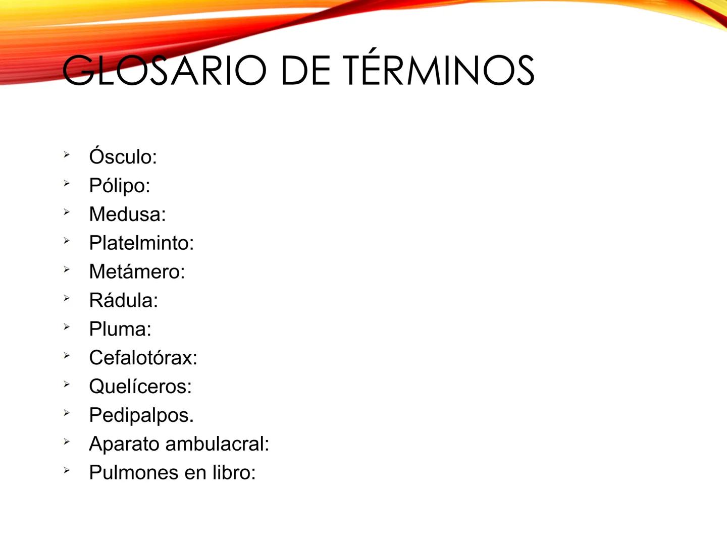 # U.D. 3: EL REINO ANIMAL: LOS INVERTEBRADOS # ÍNDICE
1. REINO ANIMAL
1.1. Tipos de simetría
1.2. Definición de animal
2. CLASIFICA