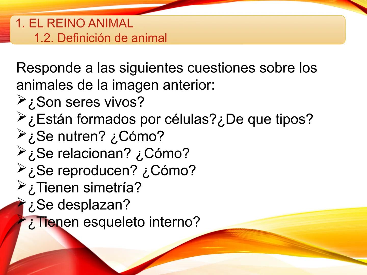 # U.D. 3: EL REINO ANIMAL: LOS INVERTEBRADOS # ÍNDICE
1. REINO ANIMAL
1.1. Tipos de simetría
1.2. Definición de animal
2. CLASIFICA