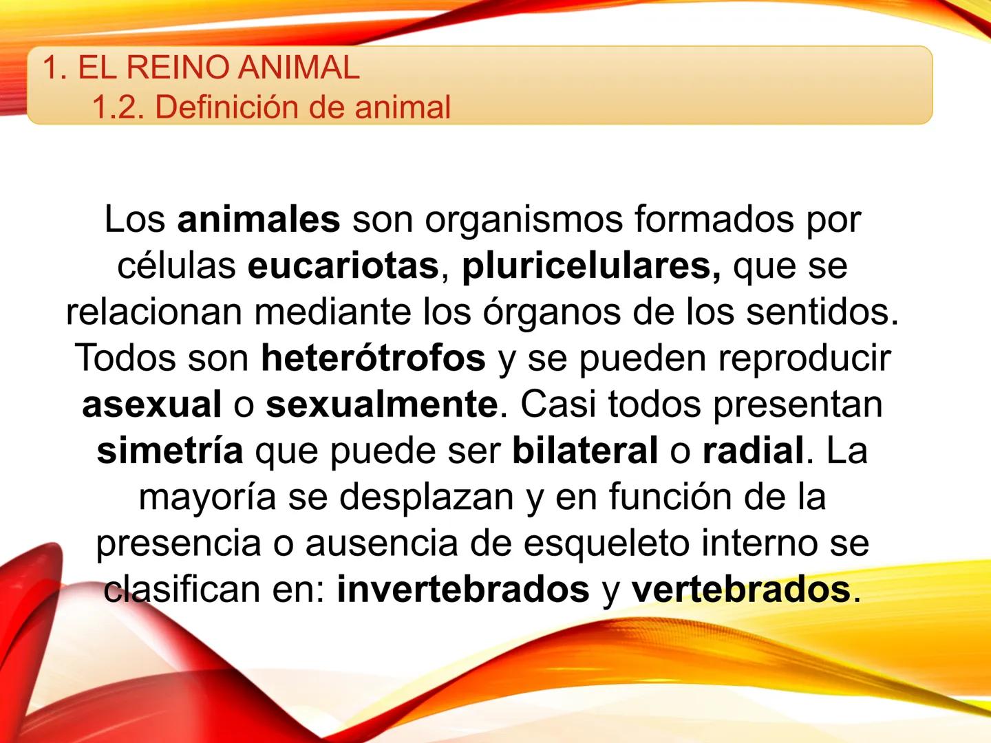 # U.D. 3: EL REINO ANIMAL: LOS INVERTEBRADOS # ÍNDICE
1. REINO ANIMAL
1.1. Tipos de simetría
1.2. Definición de animal
2. CLASIFICA
