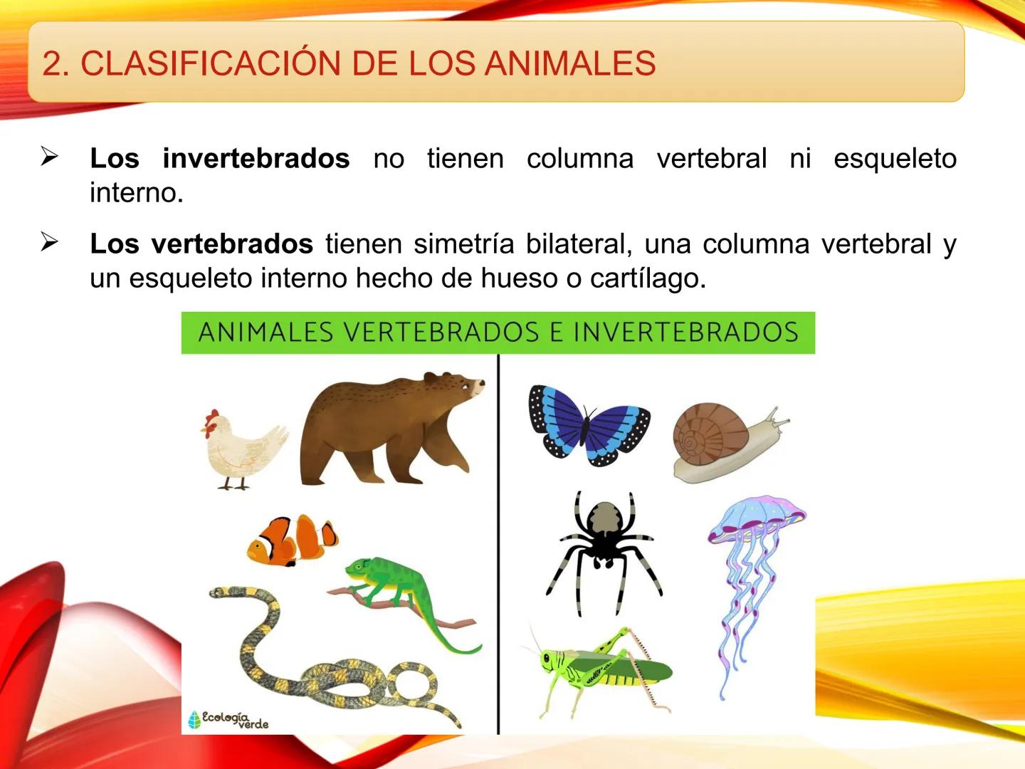 # U.D. 3: EL REINO ANIMAL: LOS INVERTEBRADOS # ÍNDICE
1. REINO ANIMAL
1.1. Tipos de simetría
1.2. Definición de animal
2. CLASIFICA