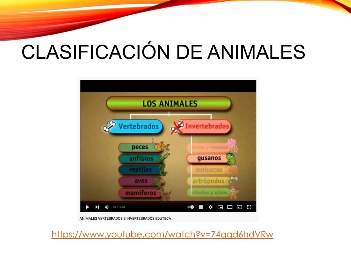 # U.D. 3: EL REINO ANIMAL: LOS INVERTEBRADOS # ÍNDICE
1. REINO ANIMAL
1.1. Tipos de simetría
1.2. Definición de animal
2. CLASIFICA