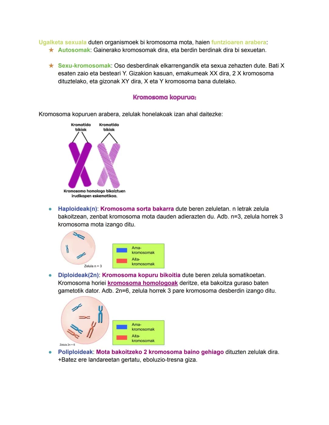 # Bio geo azterketa
2024/11/05
## 1. Zelula eukariotoen nukleoa
Nukleoa zelularen kontrol- eta erregulazio-zentroa da. DNA eramaten duen