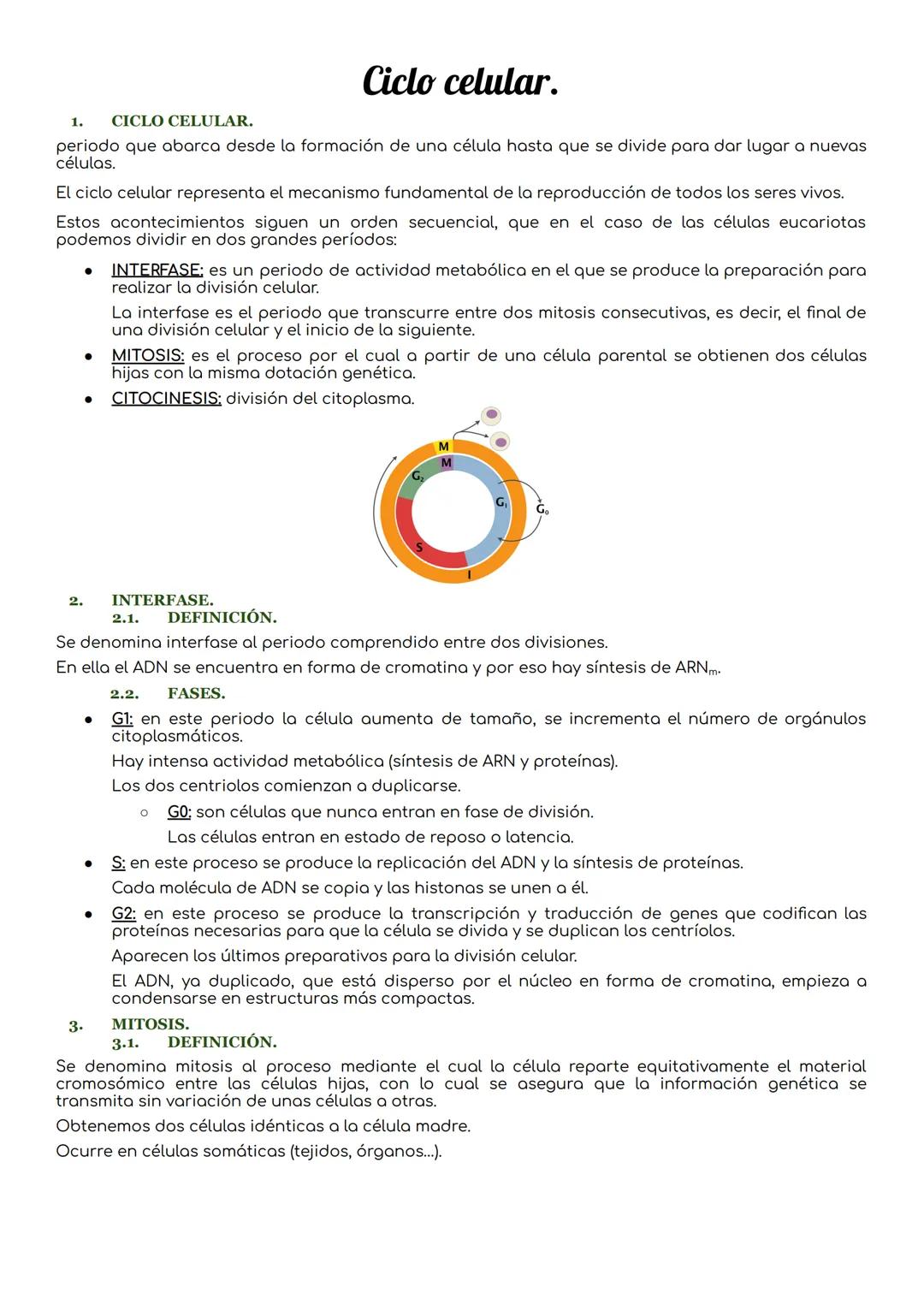 1. CICLO CELULAR.
Ciclo celular.
periodo que abarca desde la formación de una célula hasta que se divide para dar lugar a nuevas
células.
El