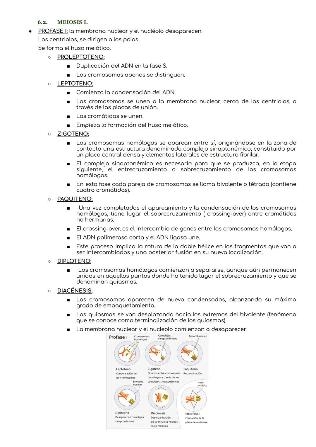 1. CICLO CELULAR.
Ciclo celular.
periodo que abarca desde la formación de una célula hasta que se divide para dar lugar a nuevas
células.
El