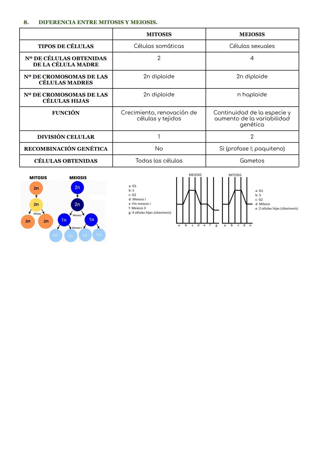 1. CICLO CELULAR.
Ciclo celular.
periodo que abarca desde la formación de una célula hasta que se divide para dar lugar a nuevas
células.
El