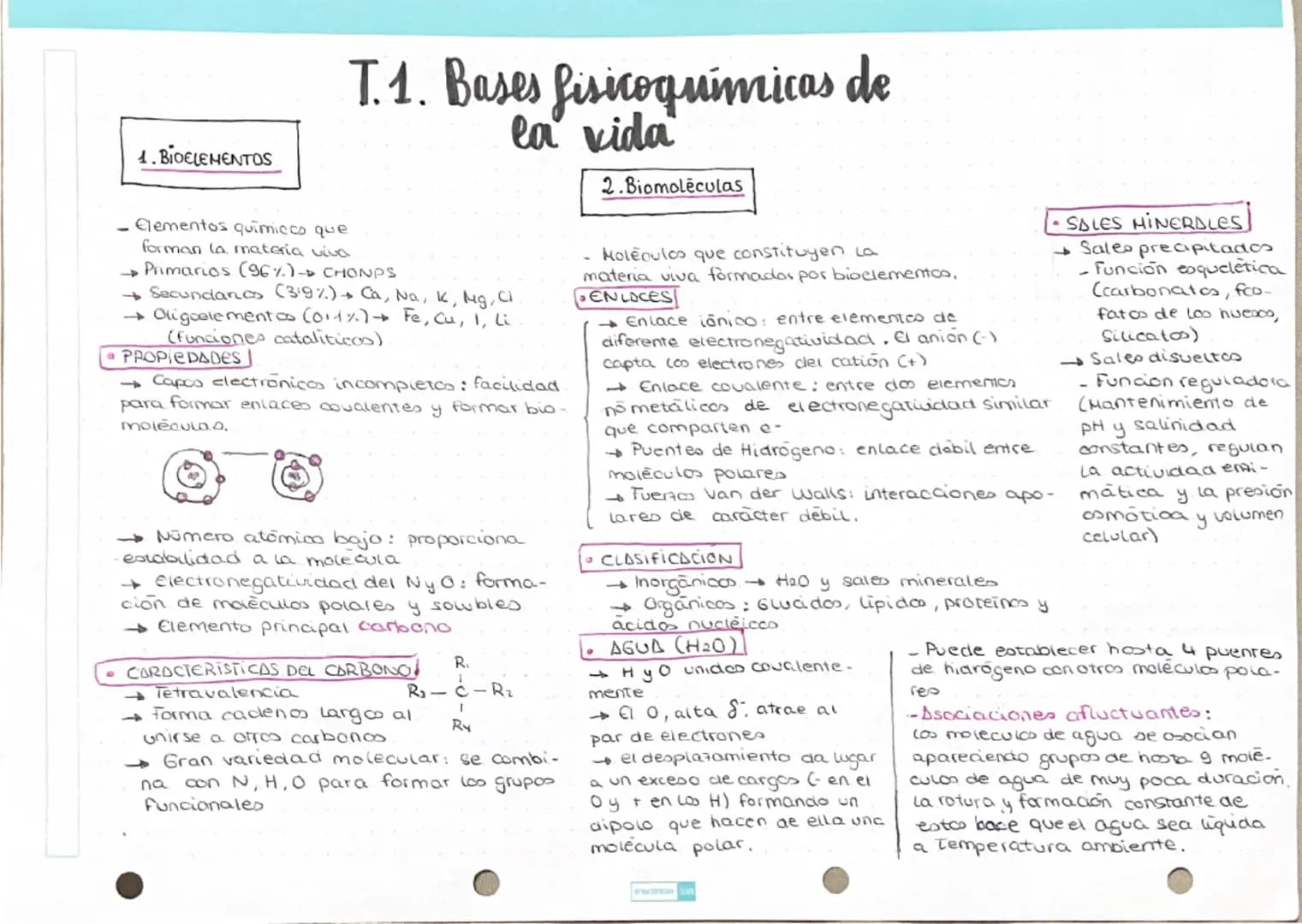 # T.1. Bases fisicoquímicas de la vida
## 1. BIOELEMENTOS
Elementos químicos que
forman la materia viva
- Primarios (96%) → CHONPS
- Secun