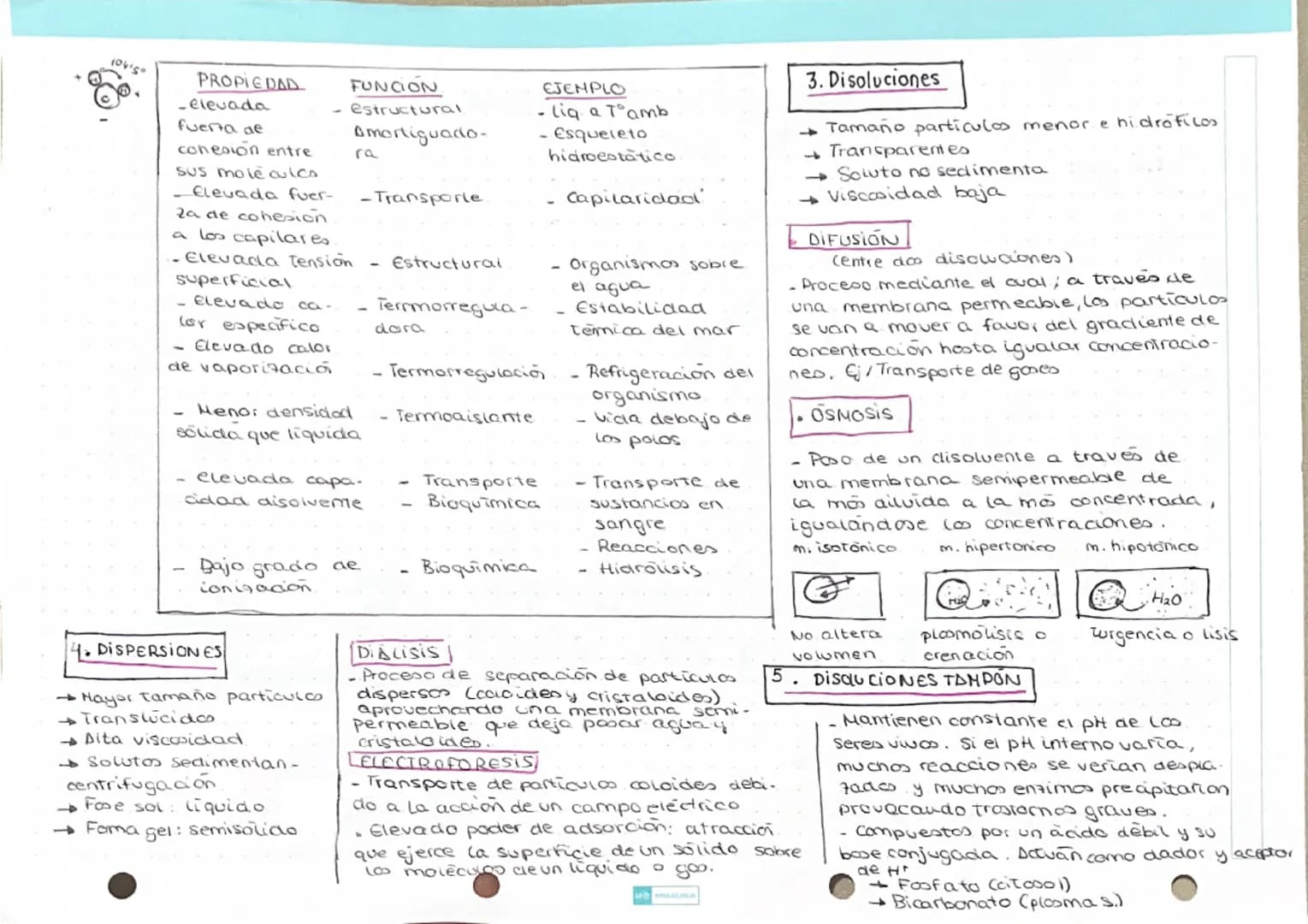 # T.1. Bases fisicoquímicas de la vida
## 1. BIOELEMENTOS
Elementos químicos que
forman la materia viva
- Primarios (96%) → CHONPS
- Secun