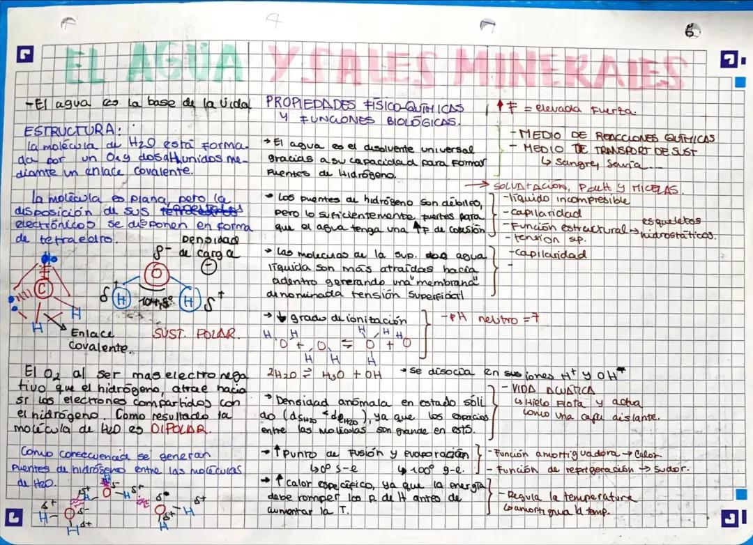 El agua y sus propiedades quimico-fisicas. esquema