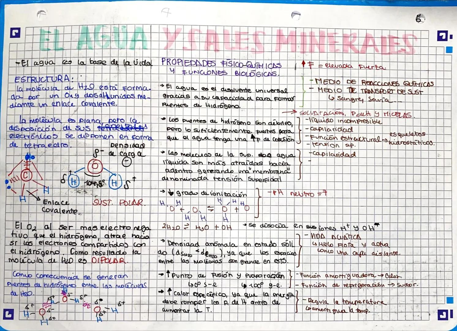 D
-El agua es la base de la vida
ESTRUCTURA
la molécula de H₂0 está forma.
da por
un Oay dosatunidos me-
diante un enlace covalente.
la mole