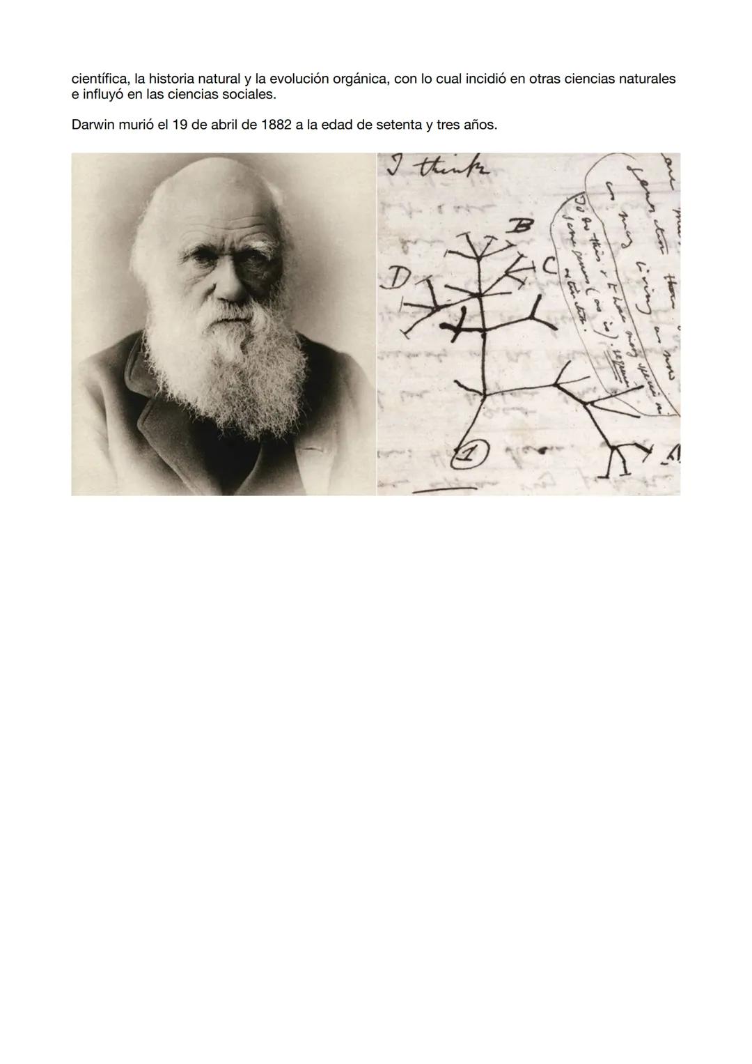DARWIN BIOGRAFÍA Y OBRA
Darwin es quizás uno de los evolucionistas más conocidos por sus aportaciones, polémicas en
su momento y de gran imp