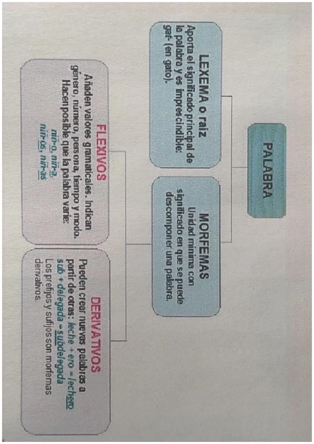 PALABRA
LEXEMA o raiz
Aporta el significado principal de
la palabra y es imprescindible:
gat-(en gato).
MORFEMAS
Unidad minima con
significa