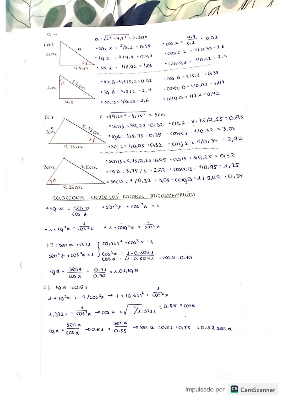 31.5.
and
TEMA 7
TRIGONOMEtrin
*Un cacian es la medida
auco es igua
at tactio
-DOOLDNES GRIDDOS-
Pag 456 (1)
al 2πTrad.
5
RACNE IRIGCROMETRI