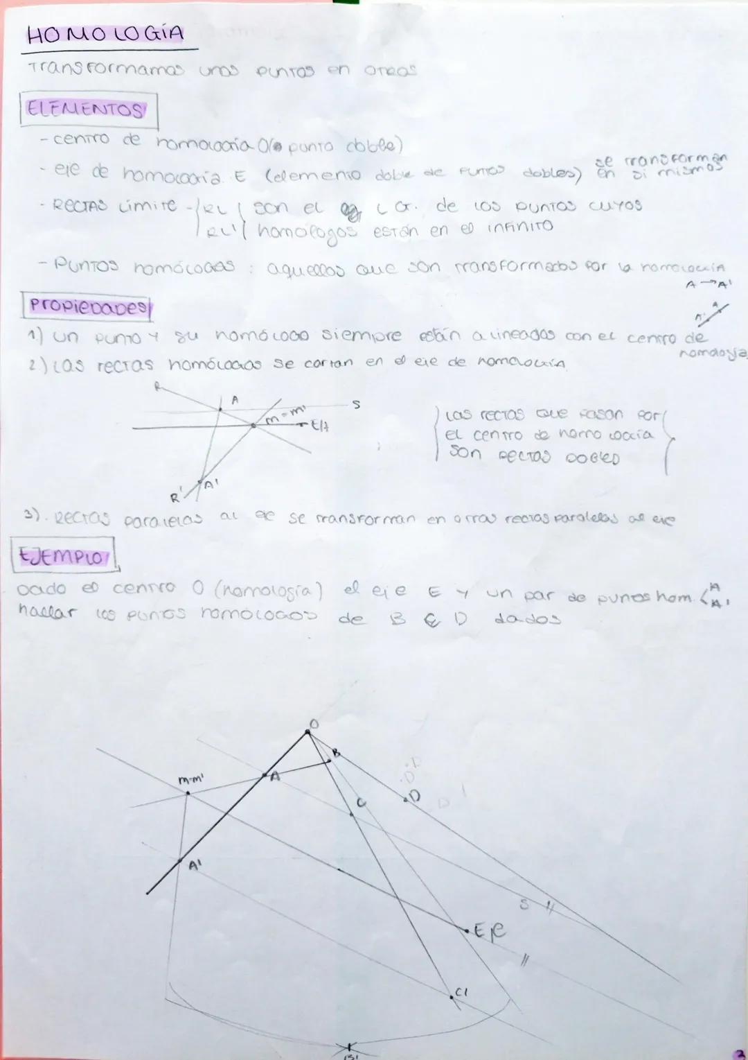 Comprendiendo la Homología