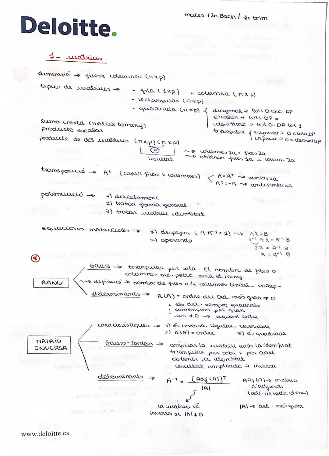 resumen matrices y determinantes