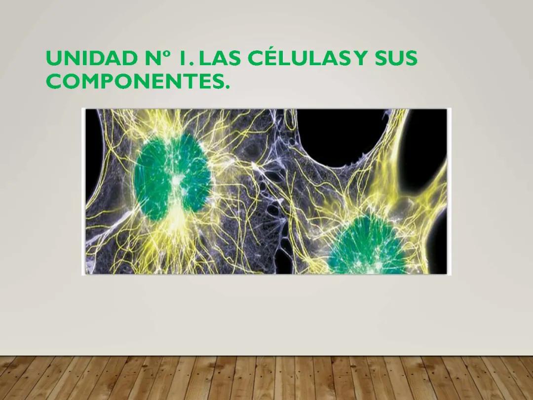 Presentación la Célula y sus Componentes