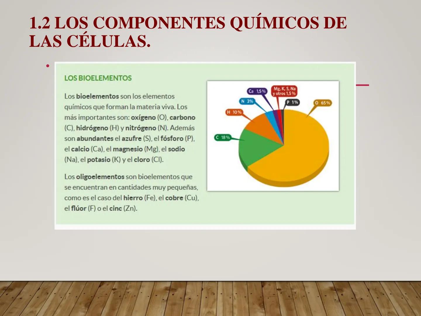UNIDAD N° I. LAS CÉLULASY SUS
COMPONENTES. I.I. ORGANIZACIÓN DE LA MATERIA VIVA
Los niveles de organización de la materia constituyen unidad
