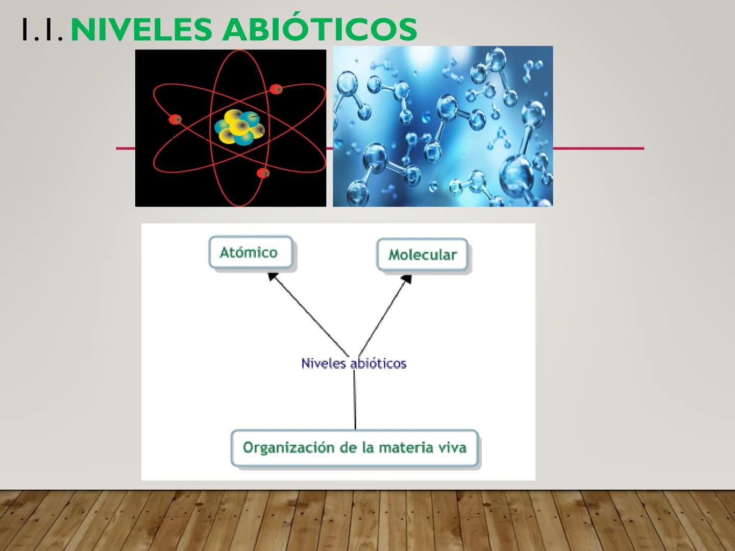 UNIDAD N° I. LAS CÉLULASY SUS
COMPONENTES. I.I. ORGANIZACIÓN DE LA MATERIA VIVA
Los niveles de organización de la materia constituyen unidad