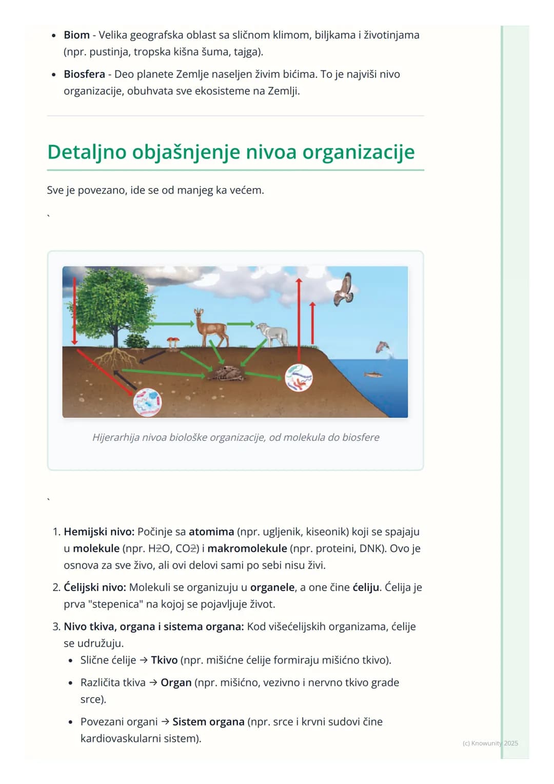 # Nivoi organizacije živog sveta
## Uvod u nivoe organizacije
Sva živa bića, od najmanje bakterije do najvećeg drveta, imaju neku vrstu
st