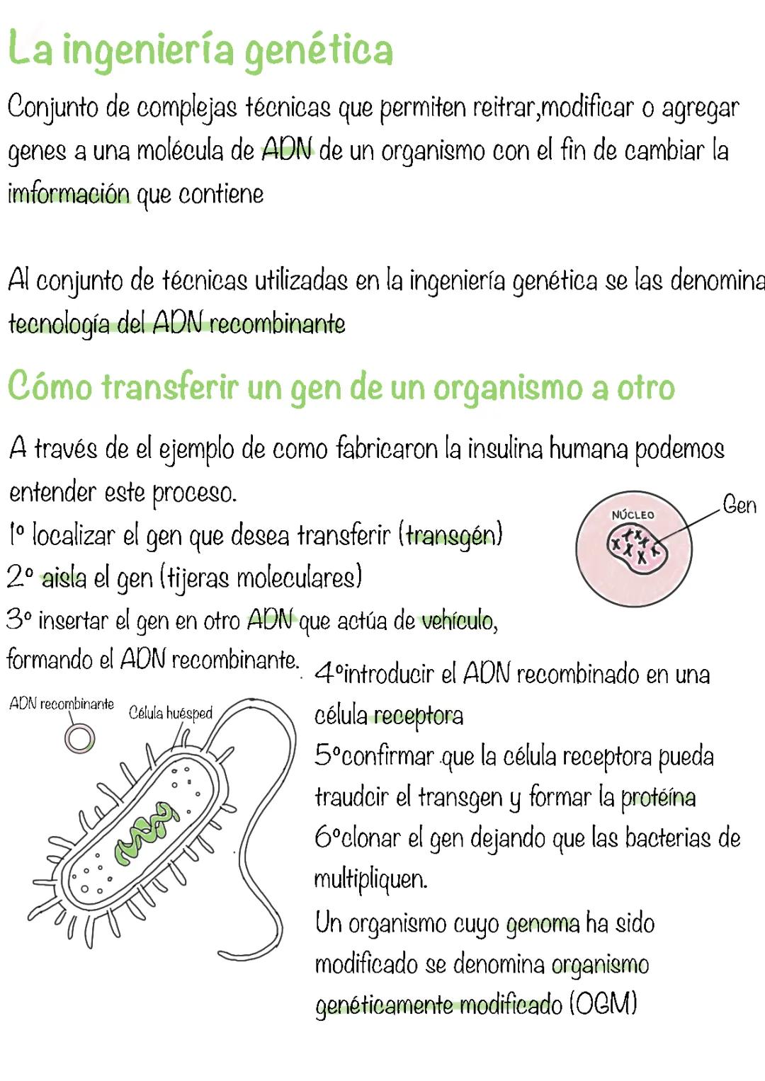 La ingeniería genética