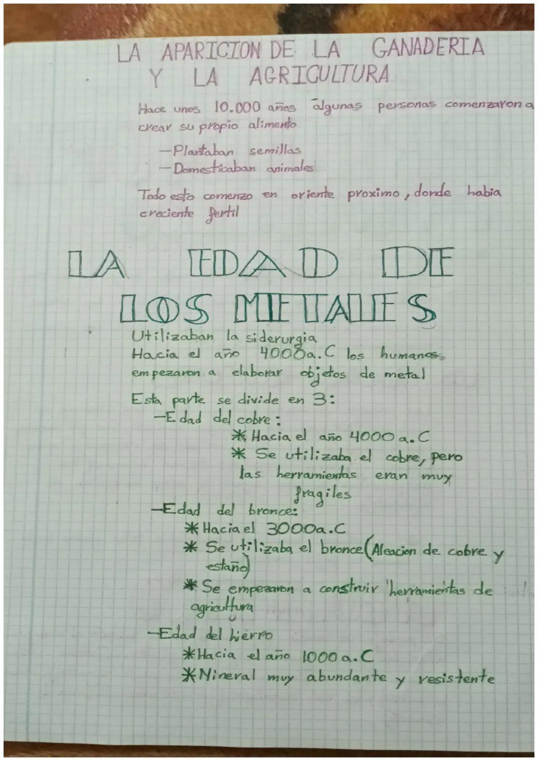 ПА
PREHISTORIA
PALEOLITICO
Se divide en 3:
-Inferior: La primera fase y la más larga de las tres
-Medio: Durante este periodo se perfecciona