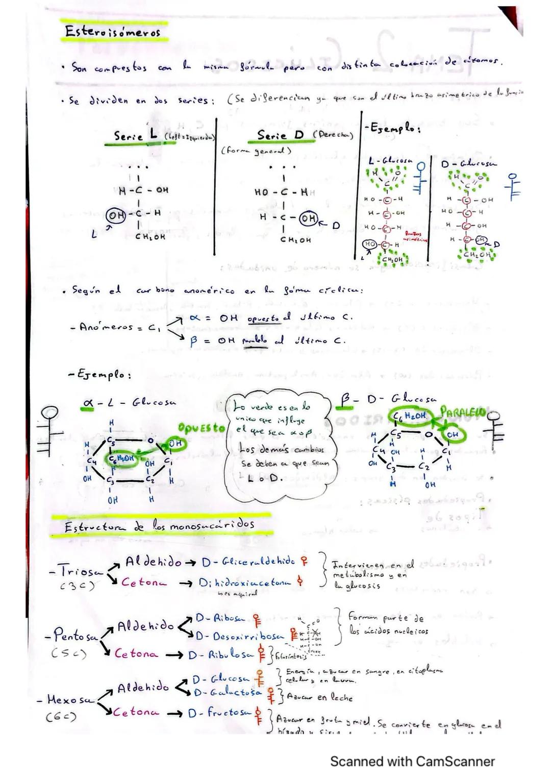# TEMA EMA 2: GLÚCIDOS
ln
• Son biomoléculas orgánicas formadus por C, H, O. (Azúcares)
• Químicamente, todos los glúcidos Cexcepto los mon