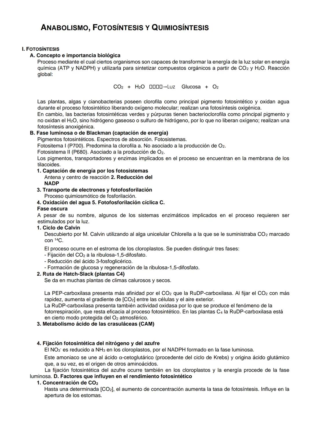 ANABOLISMO, FOTOSÍNTESIS Y QUIMIOSÍNTESIS