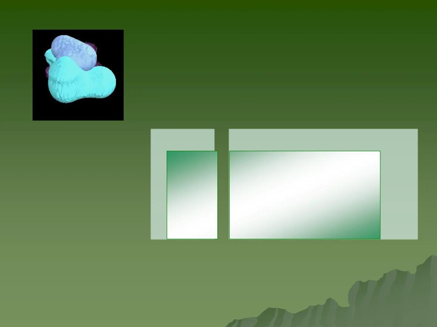 Concepto:
La unidad fundamental de todo ser
vivo.
▪ Su tamaño es muy pequeño por lo
que se requiere para su estudio de
aparatos especializa
