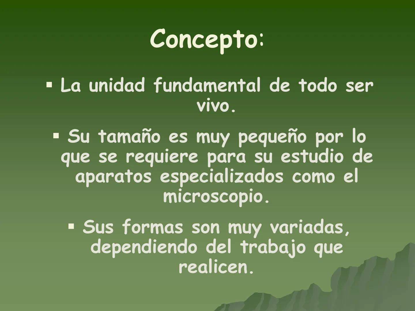 Concepto:
La unidad fundamental de todo ser
vivo.
▪ Su tamaño es muy pequeño por lo
que se requiere para su estudio de
aparatos especializa