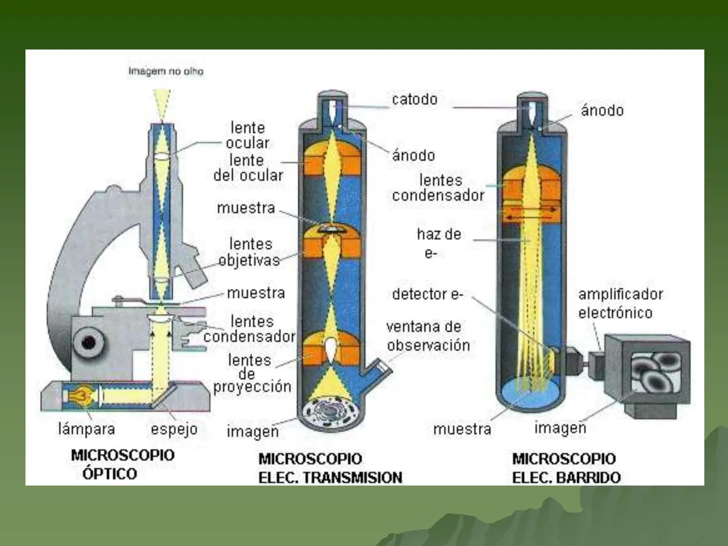 Concepto:
La unidad fundamental de todo ser
vivo.
▪ Su tamaño es muy pequeño por lo
que se requiere para su estudio de
aparatos especializa