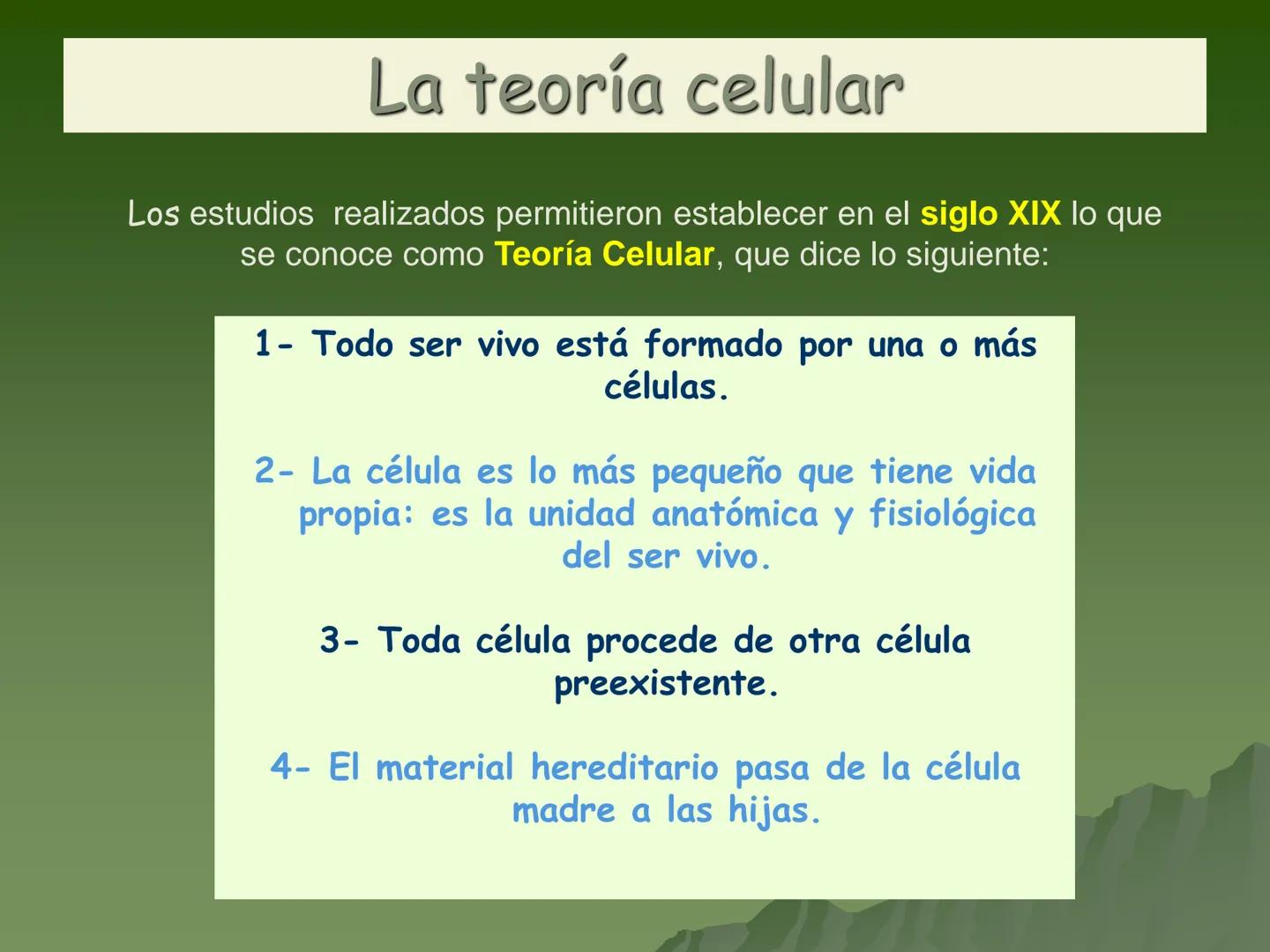 Concepto:
La unidad fundamental de todo ser
vivo.
▪ Su tamaño es muy pequeño por lo
que se requiere para su estudio de
aparatos especializa