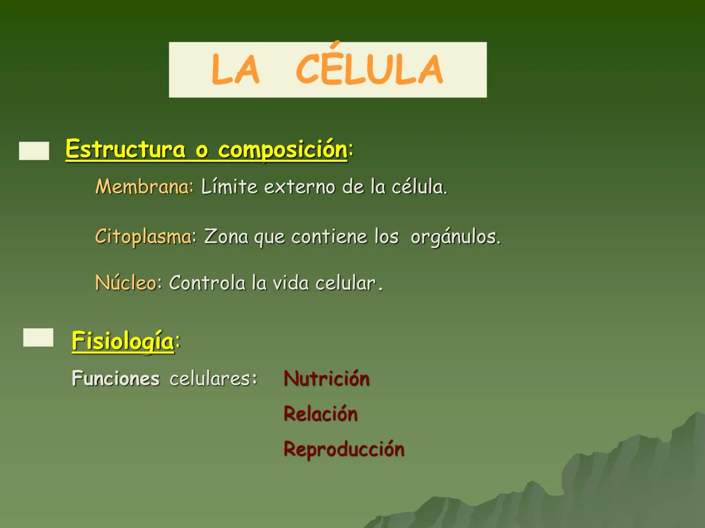 Concepto:
La unidad fundamental de todo ser
vivo.
▪ Su tamaño es muy pequeño por lo
que se requiere para su estudio de
aparatos especializa